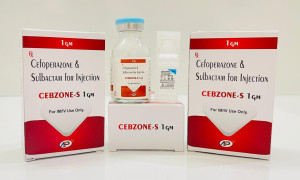 CEBZONE-S 1 GM