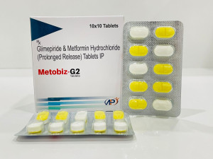 METOBIZ-G2